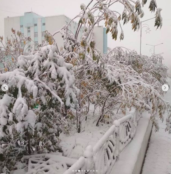 Снег в России