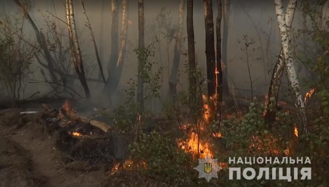 Пожар в Чернобыльской зоне - последствие женской мести, узнали копы - Пожар в Чернобыле 2019 Пожар в Чернобыльской зоне - последствие женской мести, узнали копы - Пожар в Чернобыле 2019