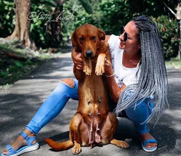 Сенегальские косы