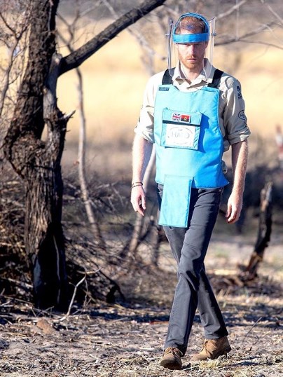 Принц Гарри, как и принцесса Диана, посетил Анголу