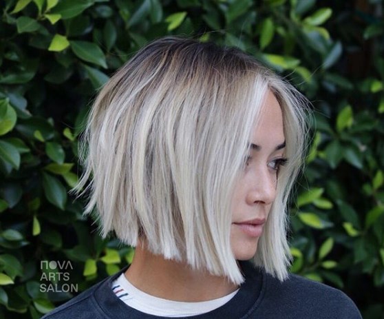 Французкий боб 2019