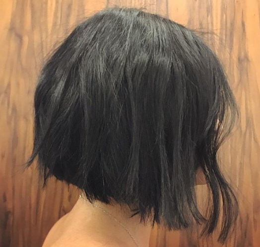 Французкий боб 2019