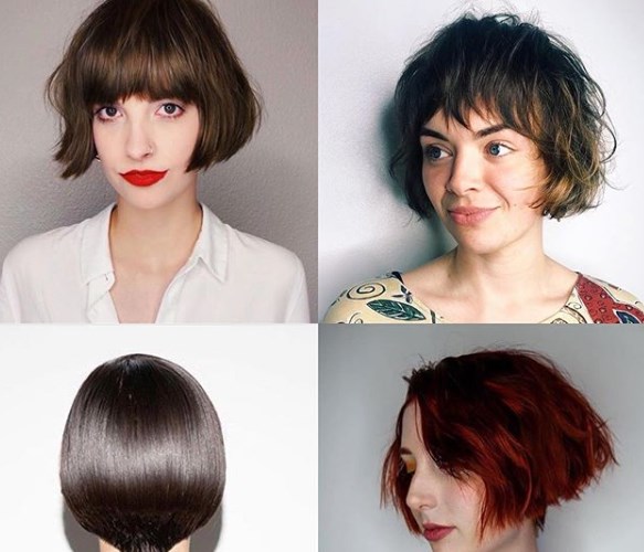 Французкий боб 2019