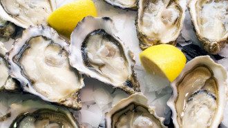 морепродукты морепродукты