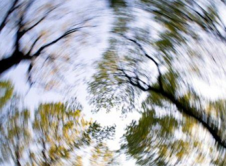 Есть четыре главных вида головокружения, сообщила врач - Причины головокружения Есть четыре главных вида головокружения, сообщила врач - Причины головокружения