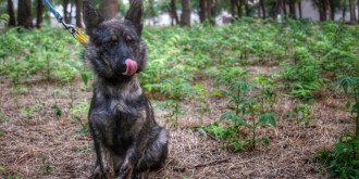 / Александра Ефименко / Facebook