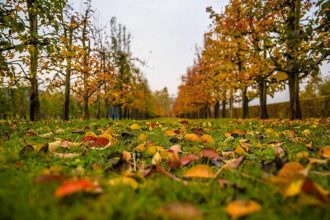 Выходные в октябре 2019 – Украина отдыхает больше 7 дней Выходные в октябре 2019 – Украина отдыхает больше 7 дней