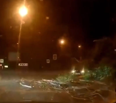 В Харькове сильный ветер валил деревья и заборы - Новости Харькова