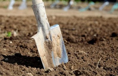 "Ублюдки малолетние!": на Донбассе дети избили пенсионера лопатой, сеть в ярости