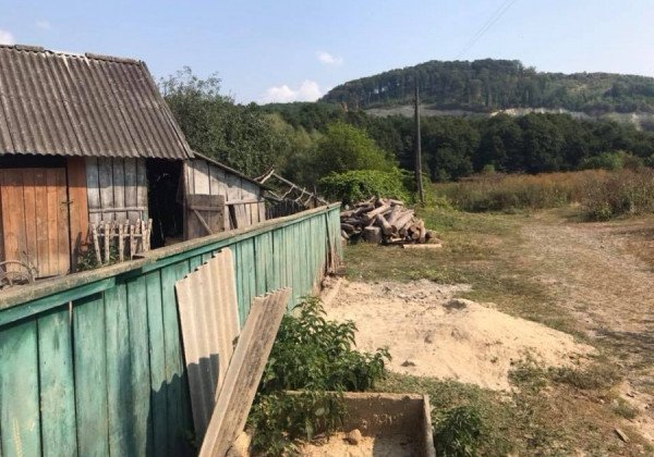 "Напуганный звереныш": на Прикарпатье нашли ребенка-маугли