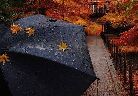 Осень, дождь