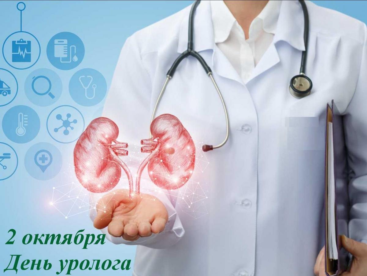 с днем уролога открытки. Смотреть фото с днем уролога открытки. Смотреть картинку с днем уролога открытки. Картинка про с днем уролога открытки. Фото с днем уролога открытки