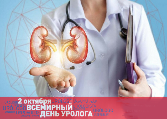 с днем уролога открытки. Смотреть фото с днем уролога открытки. Смотреть картинку с днем уролога открытки. Картинка про с днем уролога открытки. Фото с днем уролога открытки