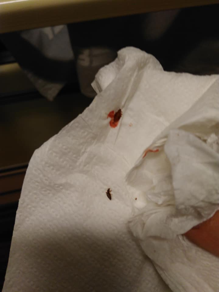 Укрзализныця "вляпалась" в очередной скандал Укрзализныця "вляпалась" в очередной скандал