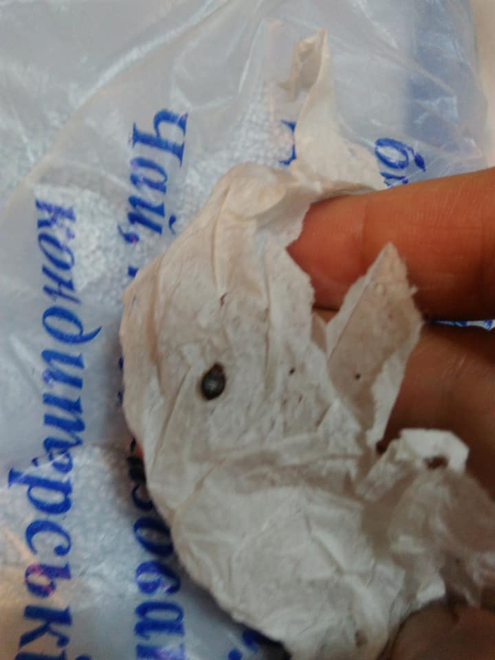 Укрзализныця "вляпалась" в очередной скандал Укрзализныця "вляпалась" в очередной скандал