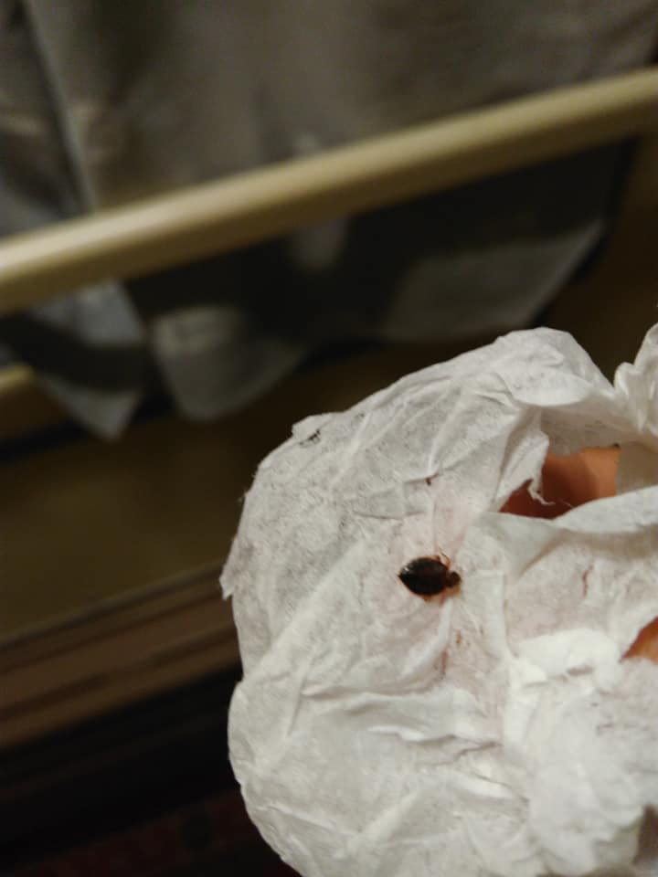 Укрзализныця "вляпалась" в очередной скандал Укрзализныця "вляпалась" в очередной скандал