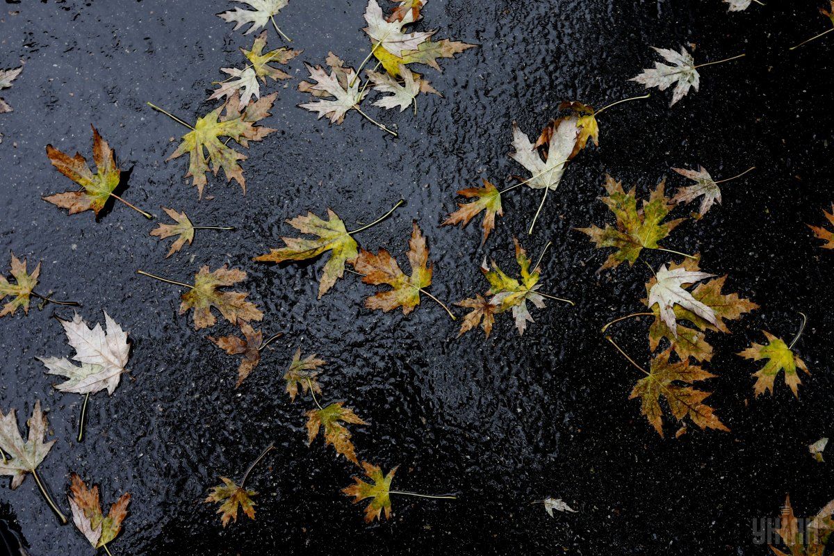 погода осень 