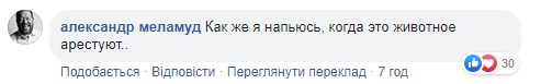 "Напьюсь, когда животное арестуют": Портнов пригрозил Пашинскому конфискацией имущества - реакция соцсетей "Напьюсь, когда животное арестуют": Портнов пригрозил Пашинскому конфискацией имущества - реакция соцсетей