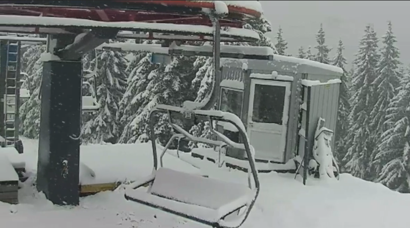 Снег в Буковеле