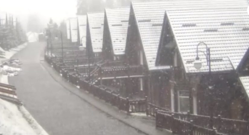 Снег в Буковеле