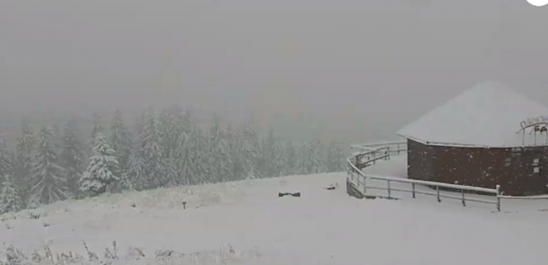 Снег в Буковеле