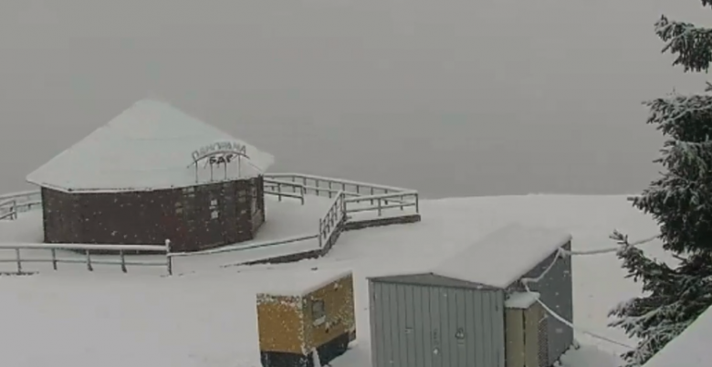 Снег в Буковеле