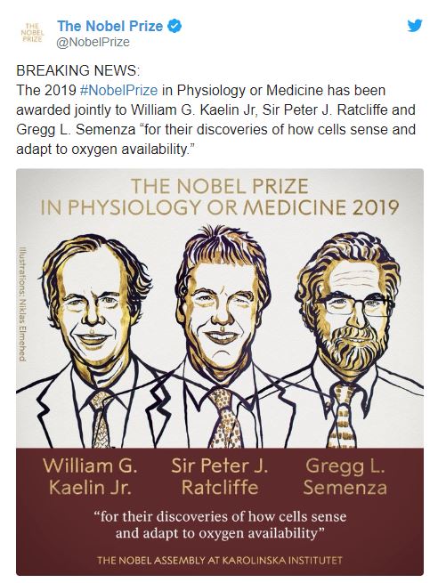 Стало известно, кому и за что дали Нобелевскую премию-2019 по медицине