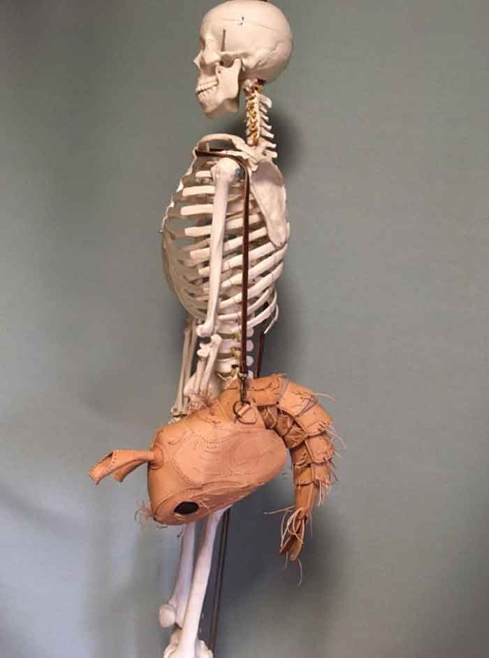 Сумки в виде насекомых