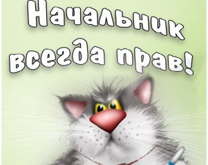 День боса - привітання в картинках і листівках