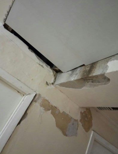 Медицина в оккупированном Крыму