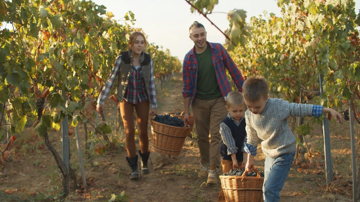 Антитіла Буде син - премьера клипа