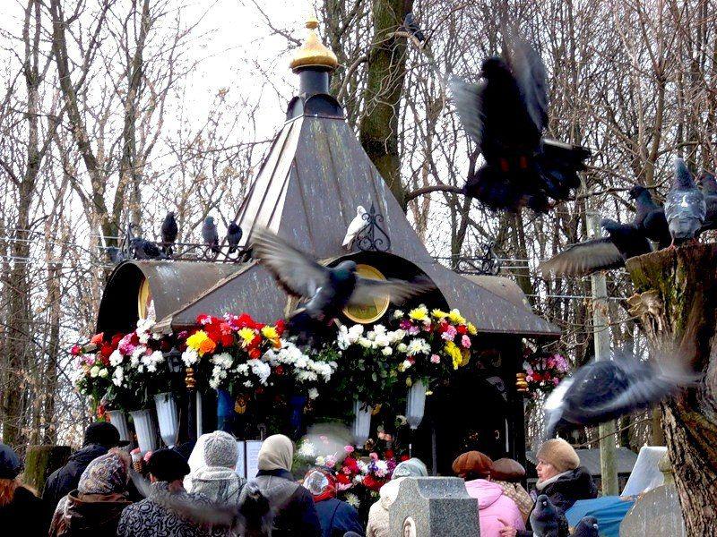 Анастасия Заворотнюк Анастасия Заворотнюк
