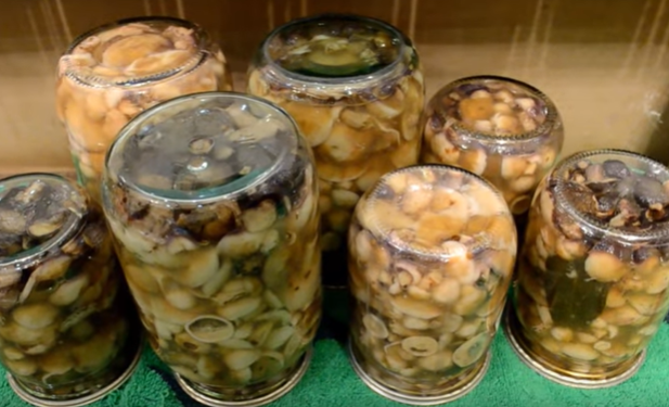 Польский гриб можно быстро замариновать