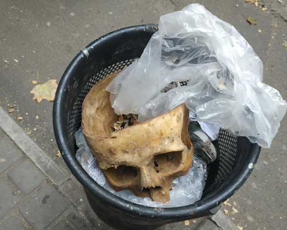 В Николаеве в урне найден человеческий череп