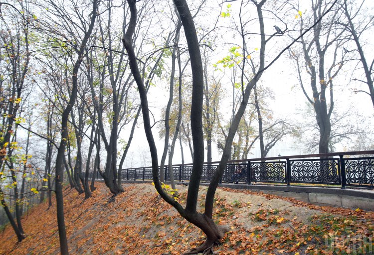 В Сети похвастались красочными фото туманного Киева