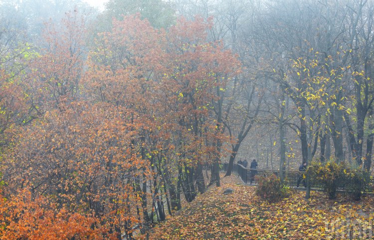 В Сети похвастались красочными фото туманного Киева