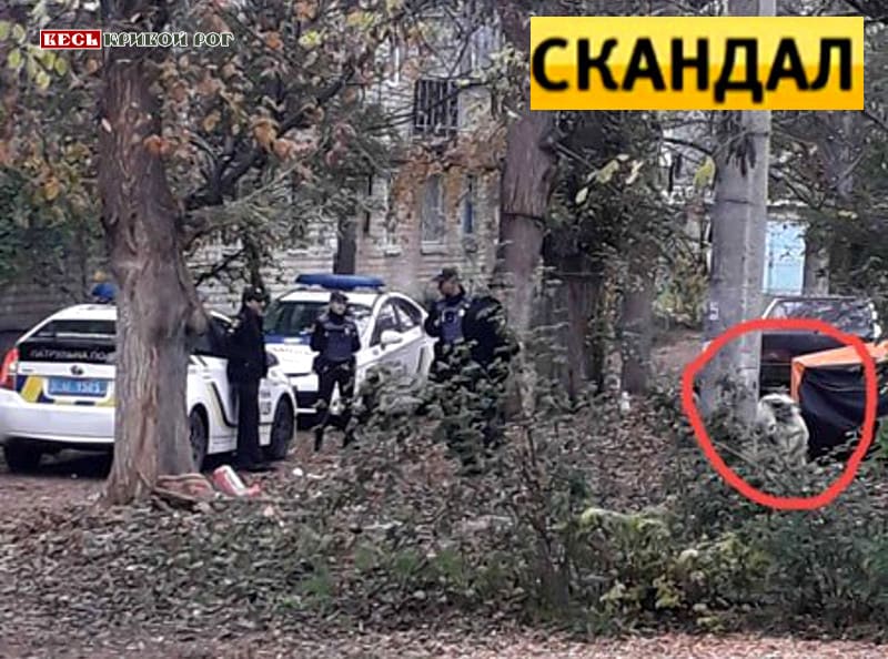 Грызла собака: в Кривом Роге произошел жуткий случай с маленьким ребенком