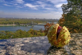 Експерт спрогнозував, що в Україні з 23 вересня розпочнеться бабине літо – Погода Україна вересень 2020 Експерт спрогнозував, що в Україні з 23 вересня розпочнеться бабине літо – Погода Україна вересень 2020