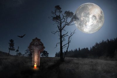 12 ноября – праздник Сбербанка и Синичкин день: что нельзя делать, приметы 12 ноября – праздник Сбербанка и Синичкин день: что нельзя делать, приметы