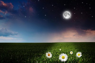 Лунный календарь на 16 октября: что делать нельзя, чтоб не лишиться денег и здоровья Лунный календарь на 16 октября: что делать нельзя, чтоб не лишиться денег и здоровья