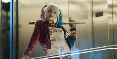 Хищные птицы 2020