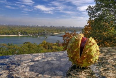 осень, погода, каштан, Киев