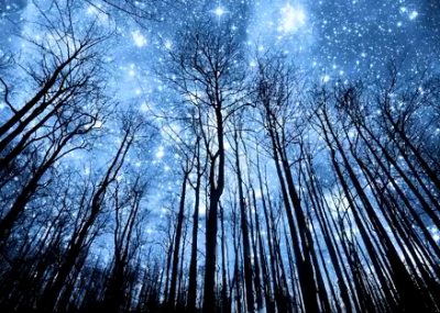 На выходных люди станут ранимыми, сообщила астропсихолог – Гороскоп на выходные 