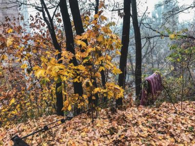 На территории университета культуры повесился парень