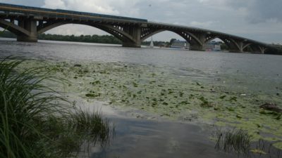 Река Днепр цветет Река Днепр цветет