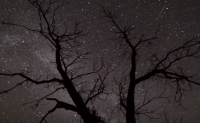 Астролог попередив, що наприкінці червня Леви можуть стати жертвою злочинців – Гороскоп на червень 2020 року 