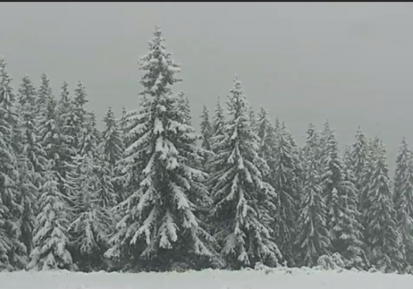 "Сказочная зима!": снег в Буковеле восхитил туристов