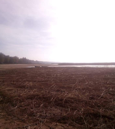 Площадь озера Свитязь уменьшилась