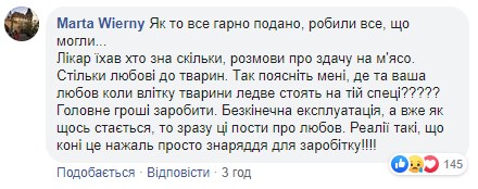 "Убийцы, на мясо": во Львове усыпили лошадь, которая испугалась петарды и травмировала девушку "Убийцы, на мясо": во Львове усыпили лошадь, которая испугалась петарды и травмировала девушку