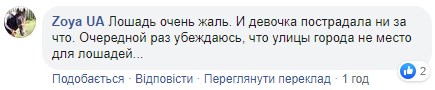 "Убийцы, на мясо": во Львове усыпили лошадь, которая испугалась петарды и травмировала девушку "Убийцы, на мясо": во Львове усыпили лошадь, которая испугалась петарды и травмировала девушку